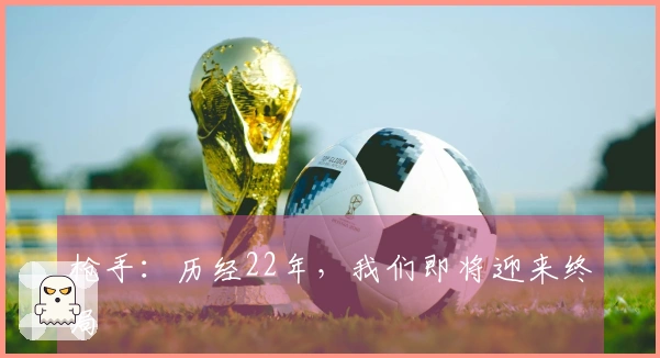 枪手：历经22年，我们即将迎来终局